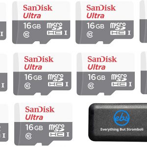 SanDisk Micro SDXC Ultra (10 Pack) MicroSD TF Flash Memory Card 16GB 16G Class 10 SDSQUNB-016G Bundle with (1) Everything But Stromboli Memory Card Reader