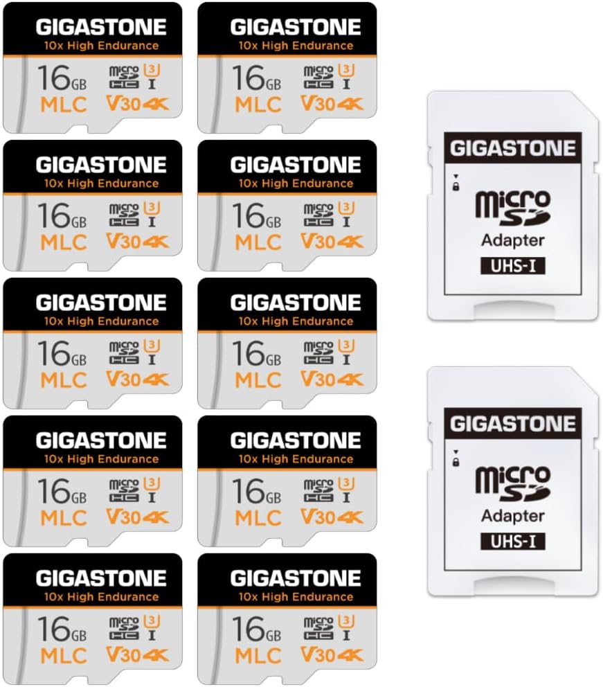 [5-Yrs Free Data Recovery] GIGASTONE 256GB Micro SD Card, High Endurance Pro Series Speed Up to 100MB/s, Compatible with REDTIGER ROVE VIOFO VANTRUE PRUVEEO ARIFAYZ Dash Cam, MicroSDXC UHS-I A1 V30 U3 image 0