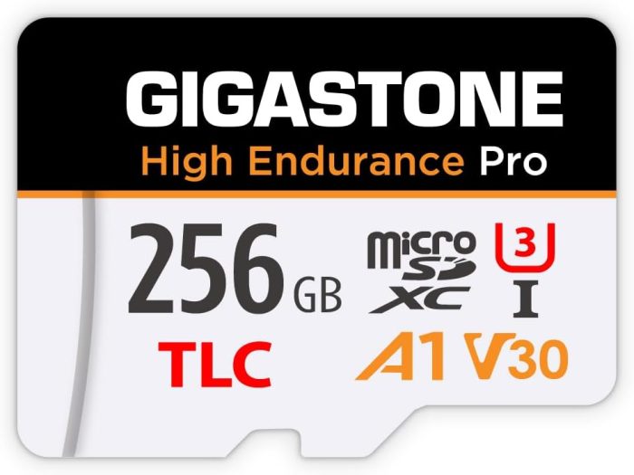 [5-Yrs Free Data Recovery] GIGASTONE 256GB Micro SD Card, High Endurance Pro Series Speed Up to 100MB/s, Compatible with REDTIGER ROVE VIOFO VANTRUE PRUVEEO ARIFAYZ Dash Cam, MicroSDXC UHS-I A1 V30 U3 image 11