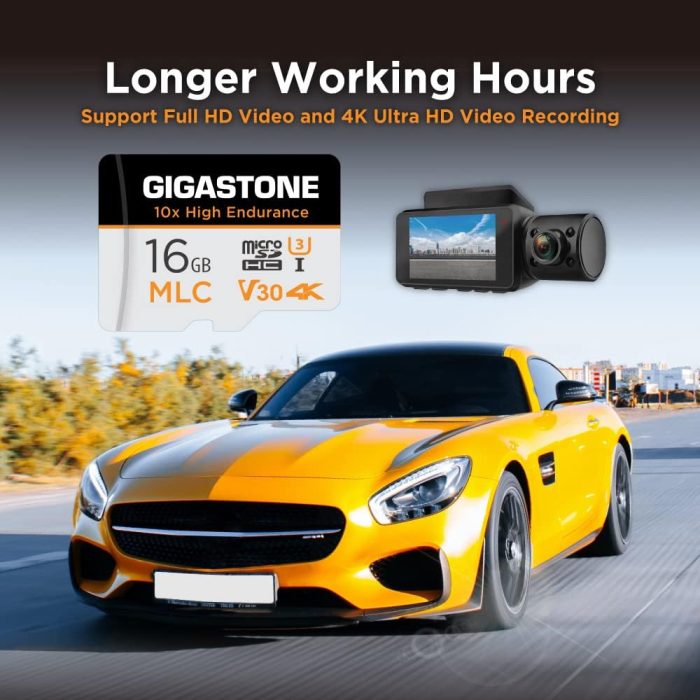 [5-Yrs Free Data Recovery] GIGASTONE 256GB Micro SD Card, High Endurance Pro Series Speed Up to 100MB/s, Compatible with REDTIGER ROVE VIOFO VANTRUE PRUVEEO ARIFAYZ Dash Cam, MicroSDXC UHS-I A1 V30 U3 image 6