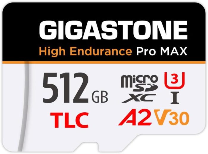 [5-Yrs Free Data Recovery] GIGASTONE 256GB Micro SD Card, High Endurance Pro Series Speed Up to 100MB/s, Compatible with REDTIGER ROVE VIOFO VANTRUE PRUVEEO ARIFAYZ Dash Cam, MicroSDXC UHS-I A1 V30 U3 image 9