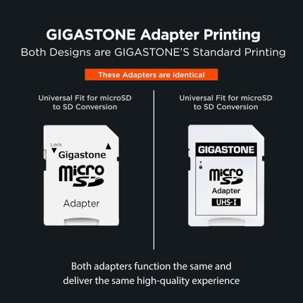 [5-Yrs Free Data Recovery] GIGASTONE 256GB Micro SD Card, High Endurance Pro Series Speed Up to 100MB/s, Compatible with REDTIGER ROVE VIOFO VANTRUE PRUVEEO ARIFAYZ Dash Cam, MicroSDXC UHS-I A1 V30 U3 image 1
