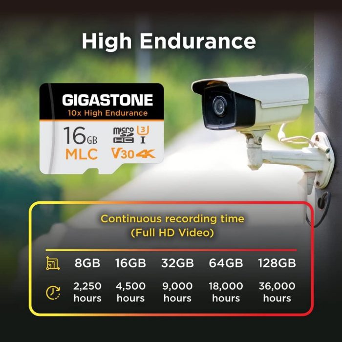 [5-Yrs Free Data Recovery] GIGASTONE 256GB Micro SD Card, High Endurance Pro Series Speed Up to 100MB/s, Compatible with REDTIGER ROVE VIOFO VANTRUE PRUVEEO ARIFAYZ Dash Cam, MicroSDXC UHS-I A1 V30 U3 image 4