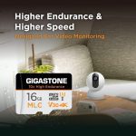 [5-Yrs Free Data Recovery] GIGASTONE 256GB Micro SD Card, High Endurance Pro Series Speed Up to 100MB/s, Compatible with REDTIGER ROVE VIOFO VANTRUE PRUVEEO ARIFAYZ Dash Cam, MicroSDXC UHS-I A1 V30 U3 image 5