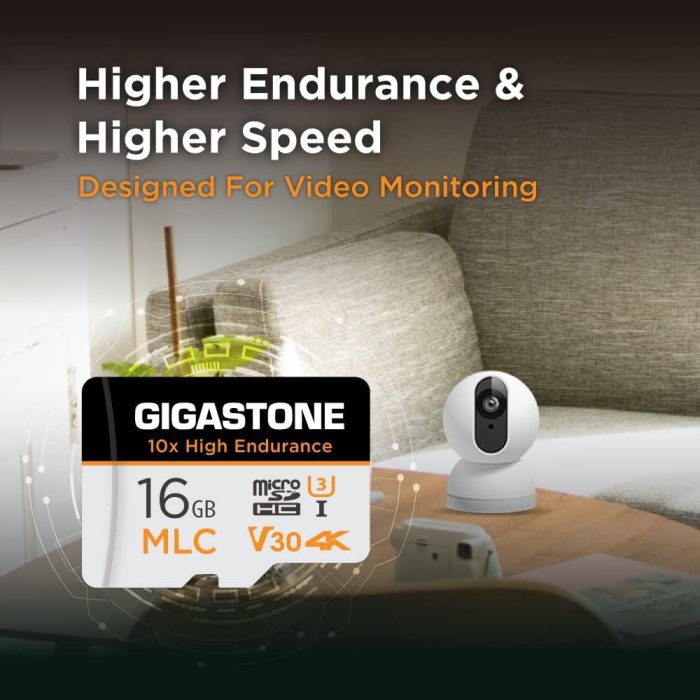 [5-Yrs Free Data Recovery] GIGASTONE 256GB Micro SD Card, High Endurance Pro Series Speed Up to 100MB/s, Compatible with REDTIGER ROVE VIOFO VANTRUE PRUVEEO ARIFAYZ Dash Cam, MicroSDXC UHS-I A1 V30 U3 image 5