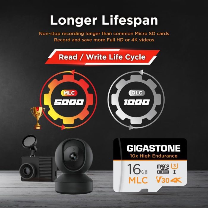 [5-Yrs Free Data Recovery] GIGASTONE 256GB Micro SD Card, High Endurance Pro Series Speed Up to 100MB/s, Compatible with REDTIGER ROVE VIOFO VANTRUE PRUVEEO ARIFAYZ Dash Cam, MicroSDXC UHS-I A1 V30 U3 image 3